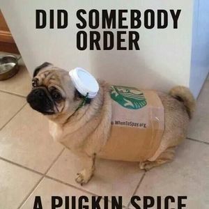 Meet your Posher, Micah